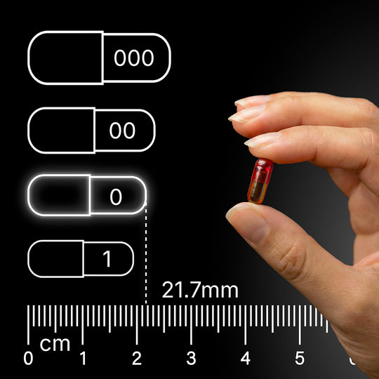 Kapselgroesse Curcumin