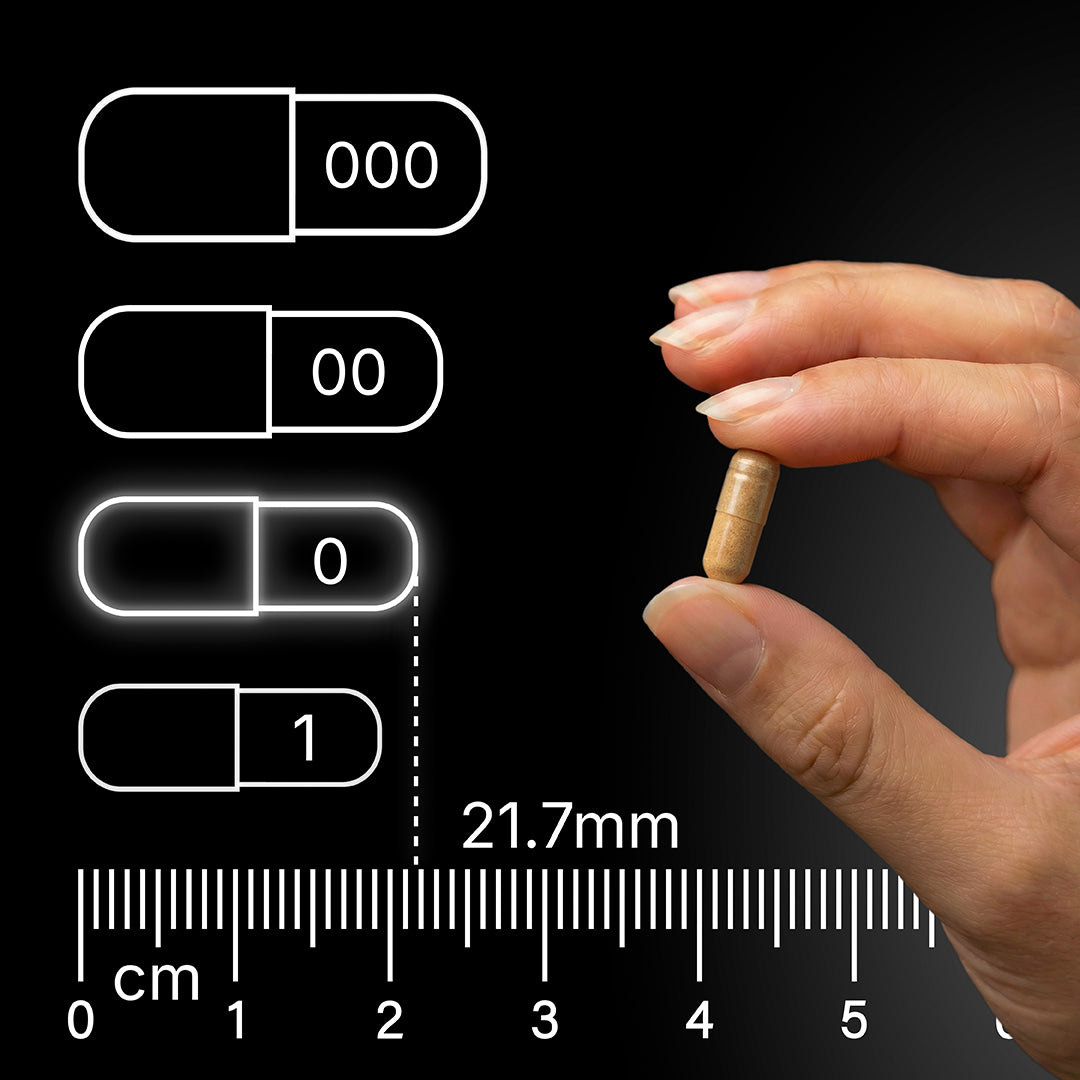 Kapselgroesse Multivitamins