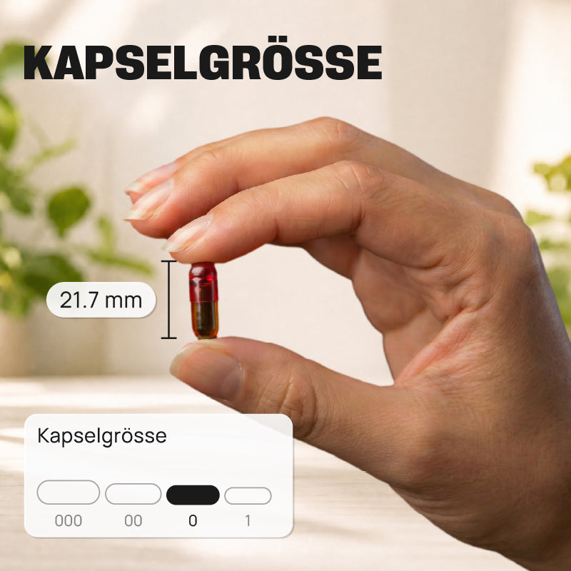 Perroulaz Nutrition Kapselgroesse Curcumin