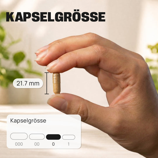 Perroulaz Nutrition Kapselgroesse Multivitamins