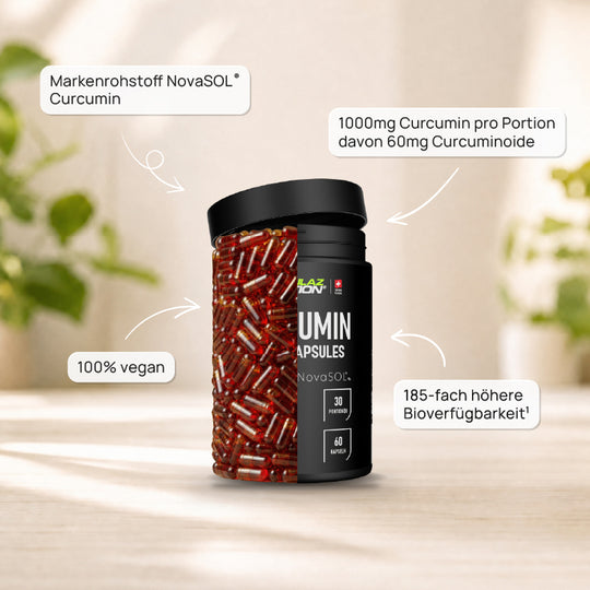 Perroulaz Nutrition Key Facts Curcumin